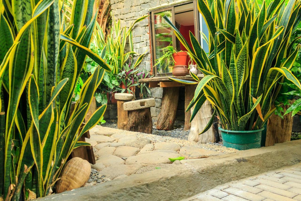 Pousada Quinta Ribeirinha Cidade Velha Bagian luar foto