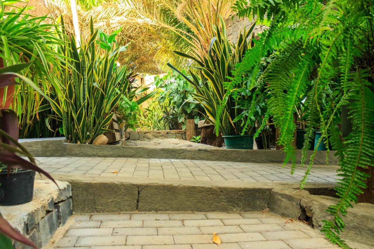 Pousada Quinta Ribeirinha Cidade Velha Bagian luar foto
